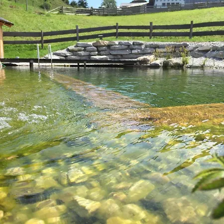 Dağ evi Schffenbichl Huette