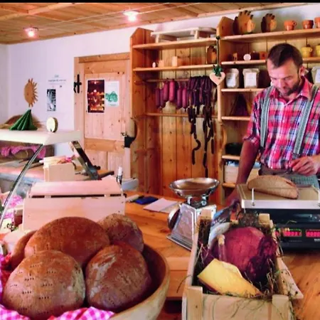 Schffenbichl Huette Dağ evi *